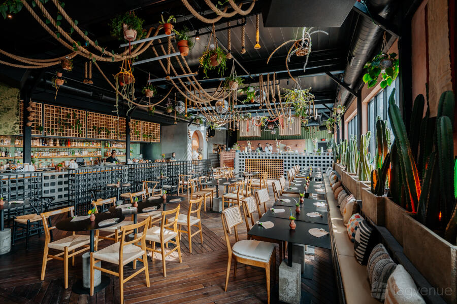 Rooftop Bar & Dining at Vera Cocina and Bar