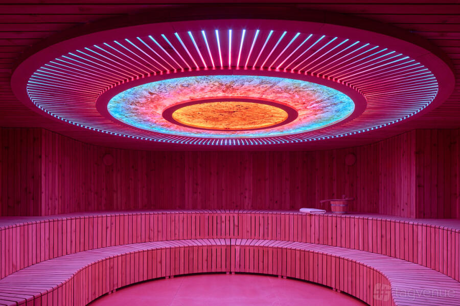 The Sensorium The Sensorium