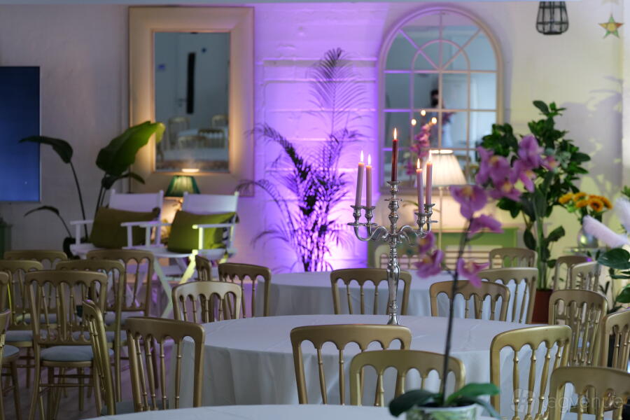 The Palm Room The Palm Room