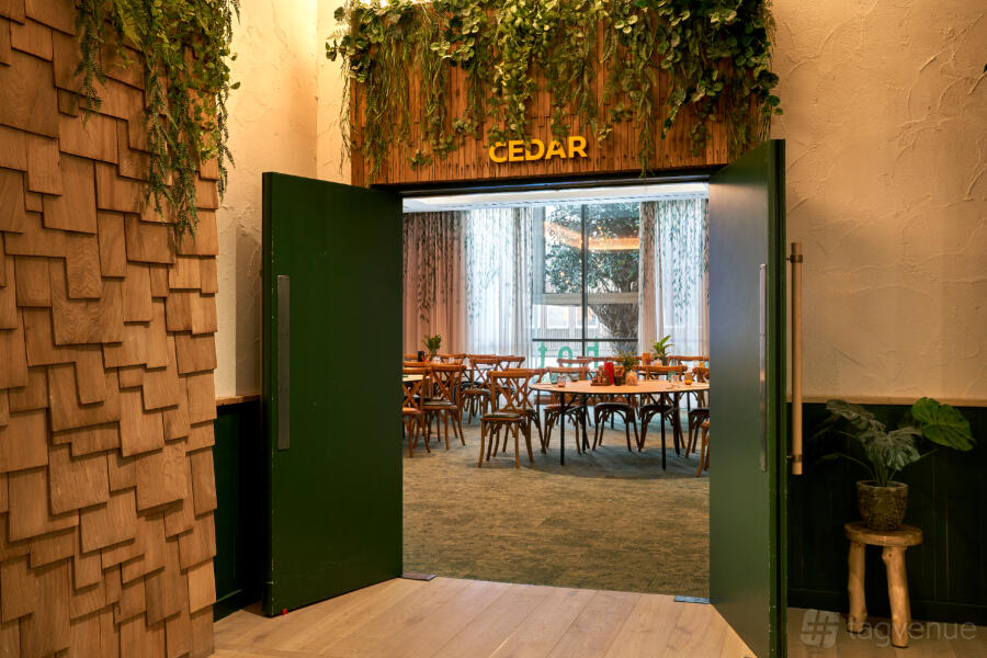 Cedar Suite at Treehouse Hotel Manchester