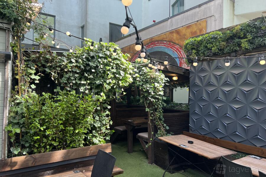 Back Garden Back Garden