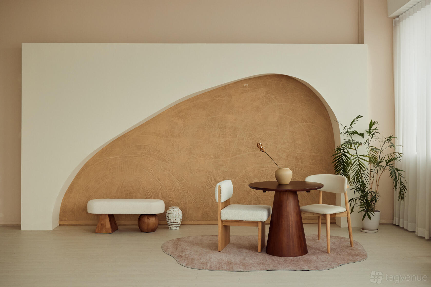 A photo studio with a sculpted backdrop, wooden table, minimalist chairs, and potted plants at Project 19.