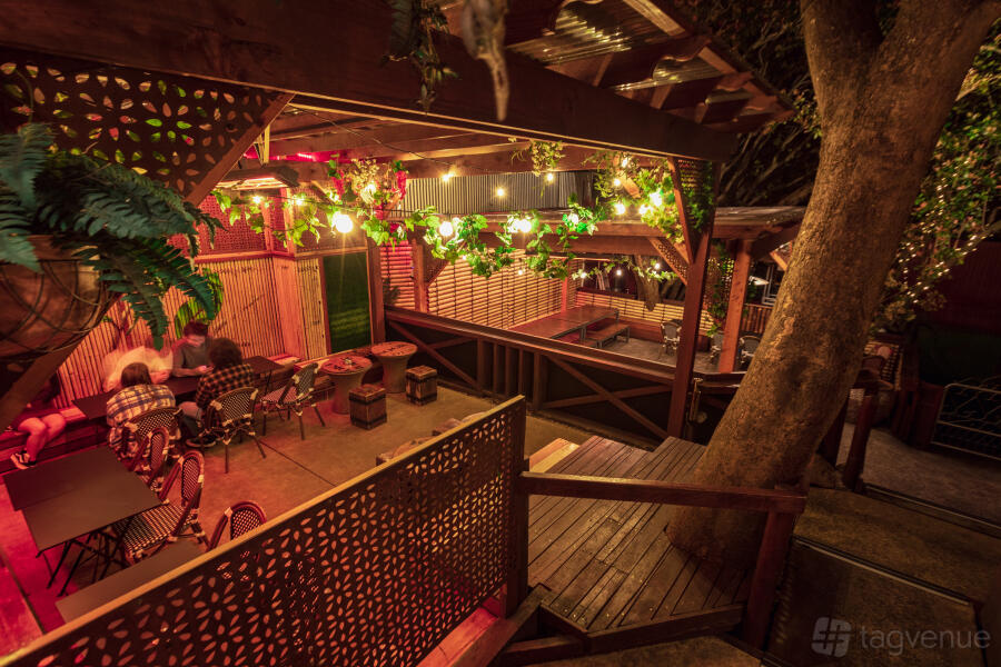 Jungle Bar Jungle Bar