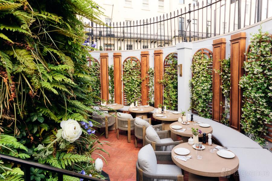 Terrace Terrace