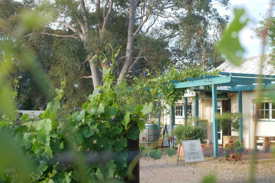 Harris Organic Wine & Spirits Harris Organic Wine & Spirits