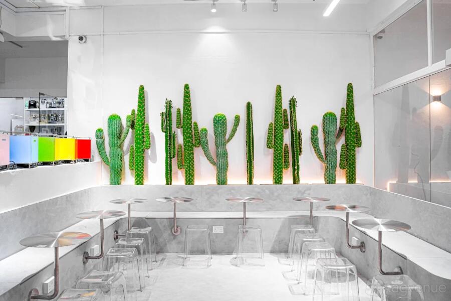 Cactus Lounge Cactus Lounge
