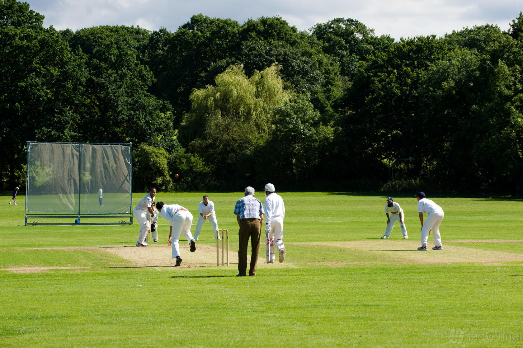 A cricket field with players in white uniforms, wickets, and lush green grass at Trevor Bailey Sports Ground.