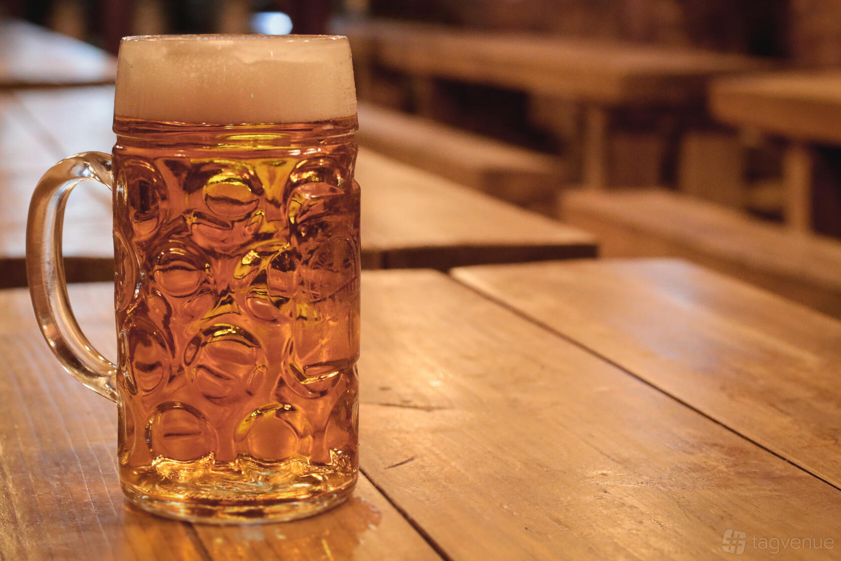 Stein Bier Keller