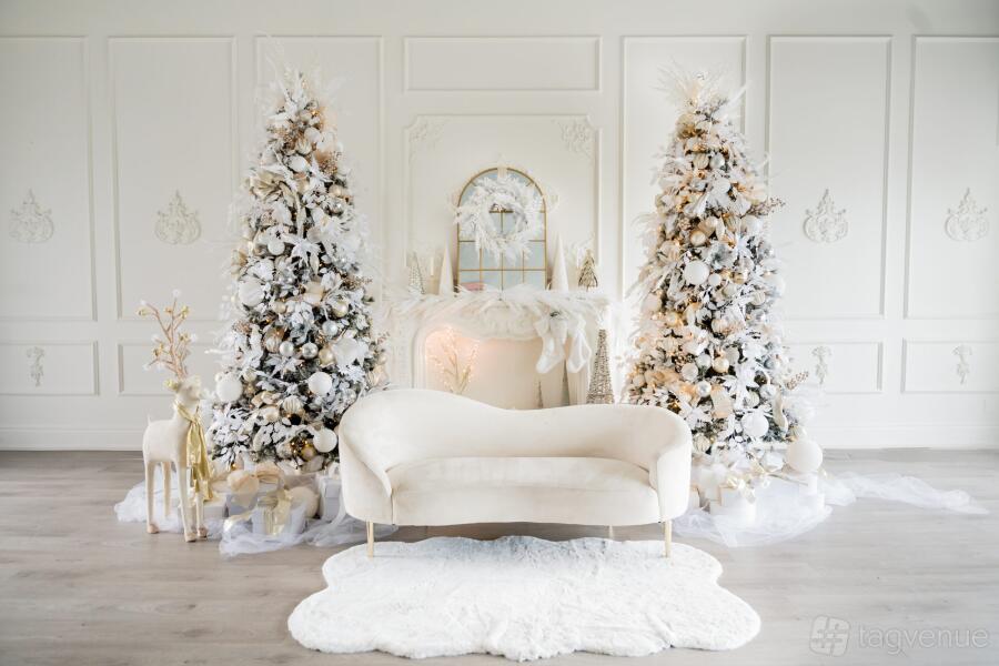 Willow & Birch at Linen & Love Studios
