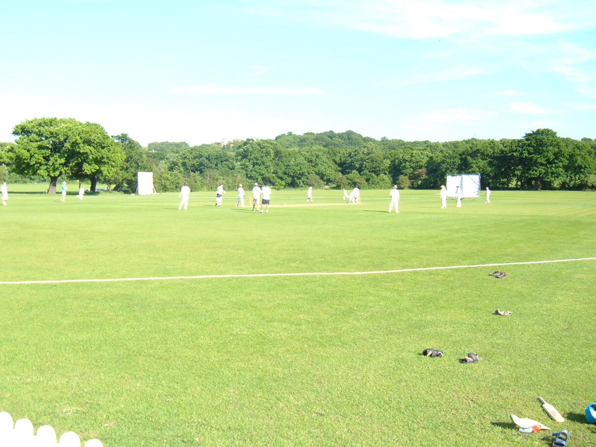 A cricket field with players in white uniforms, lush grass, and trees surrounding Trevor Bailey Sports Ground.