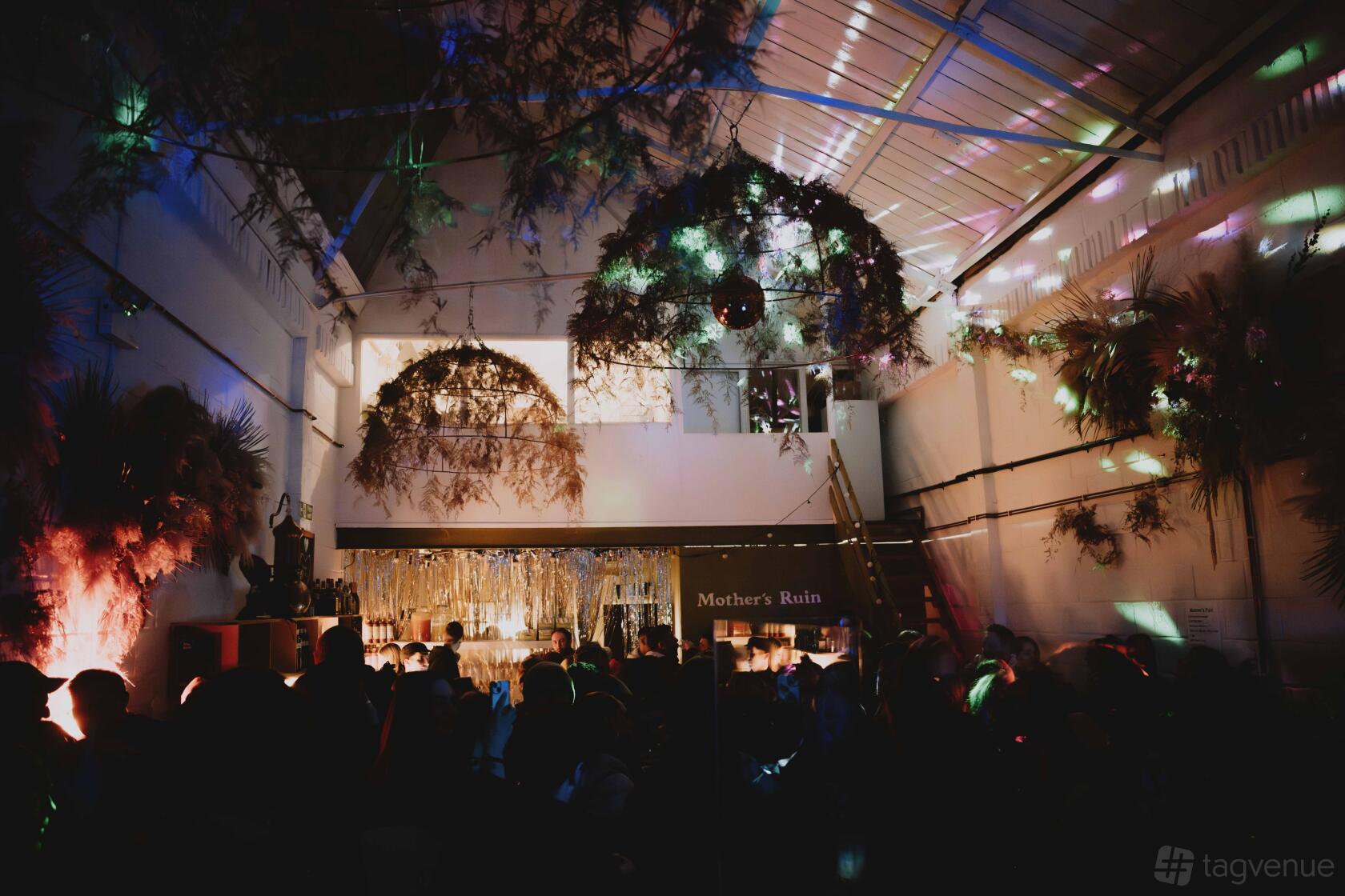 A brewery with high ceilings, hanging greenery, and colorful disco lighting at Mother's Ruin.