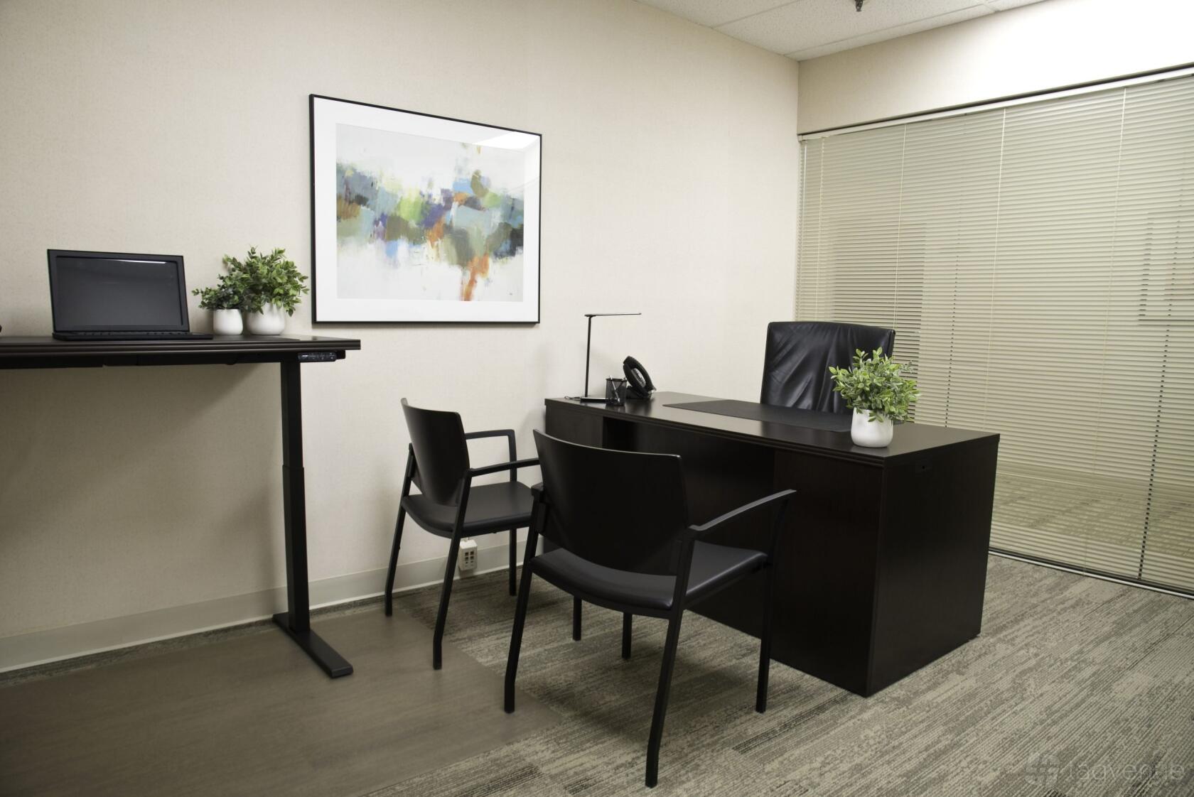 A meeting room with a dark wood desk, black chairs, abstract wall art, and potted plants at American Executive Centers - Marlton.