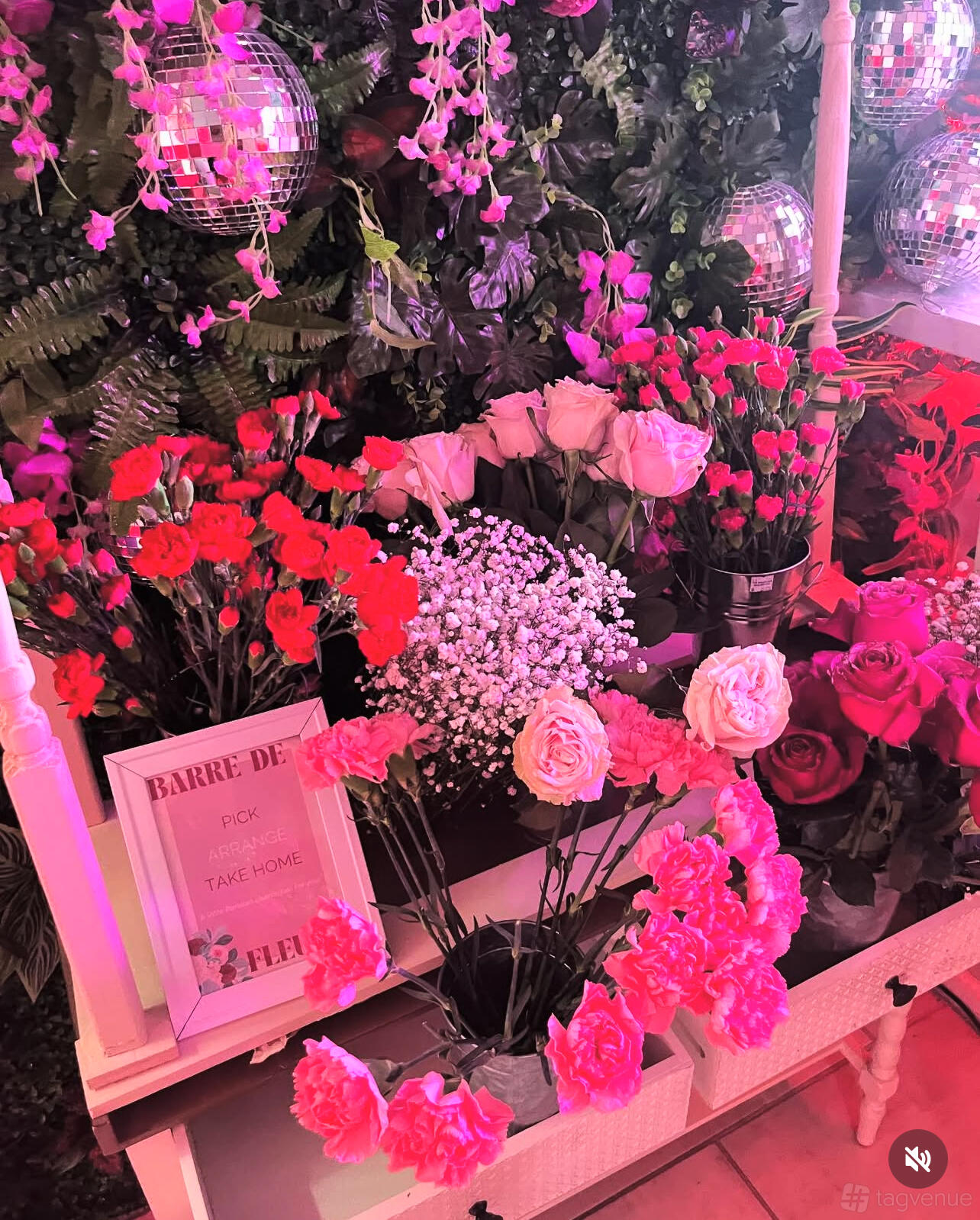 Longe Part The Pink Tropics Party Lounge - Hush Events - Event Venue Rental ...
