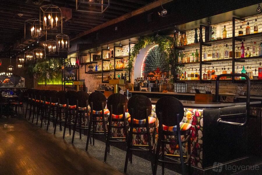 Bar Bar