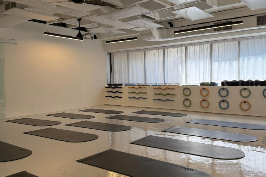 Whole Venue Whole Venue