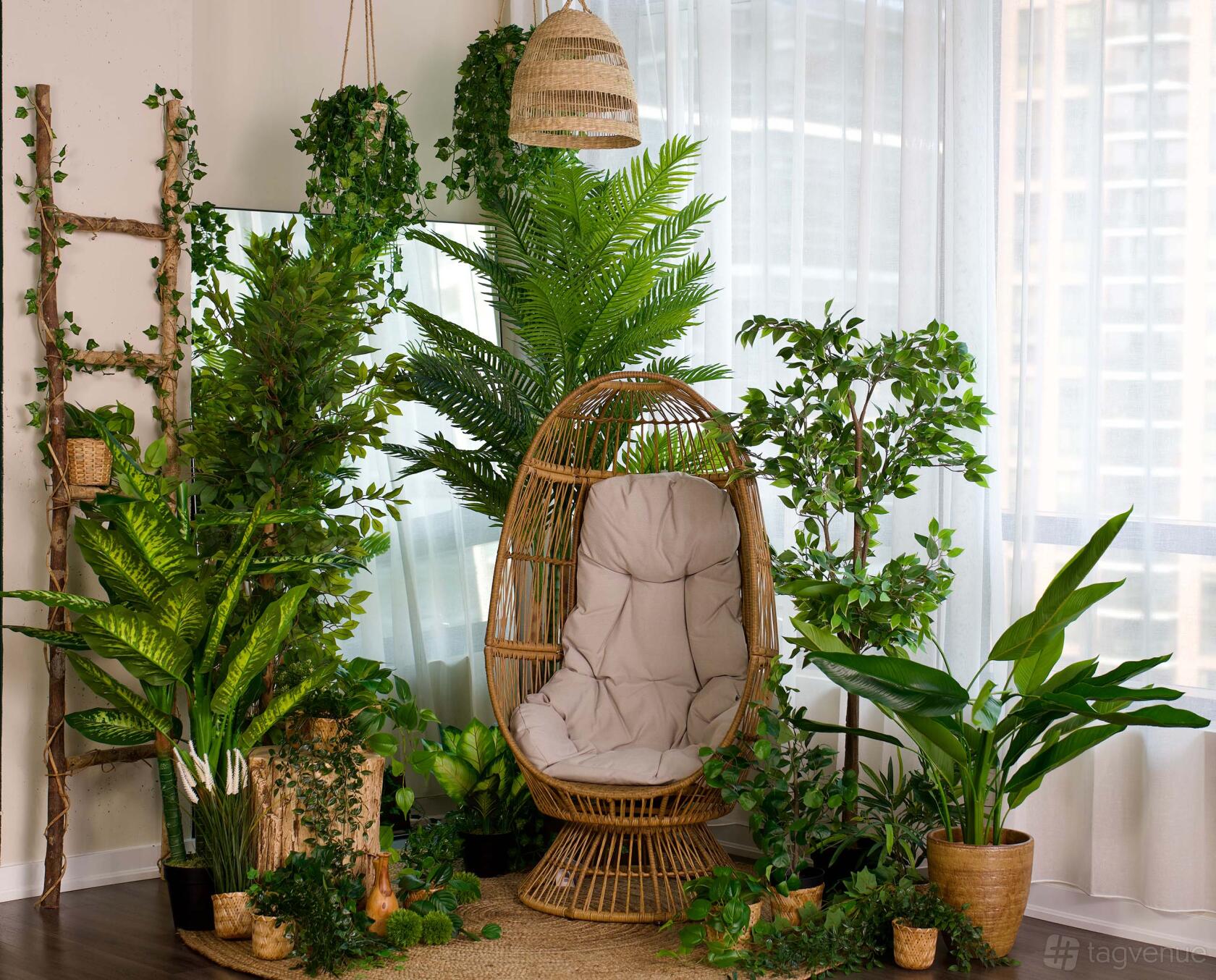 Green Jungle + 4 Other Sets at Hadaki Studios at Hadaki Studios