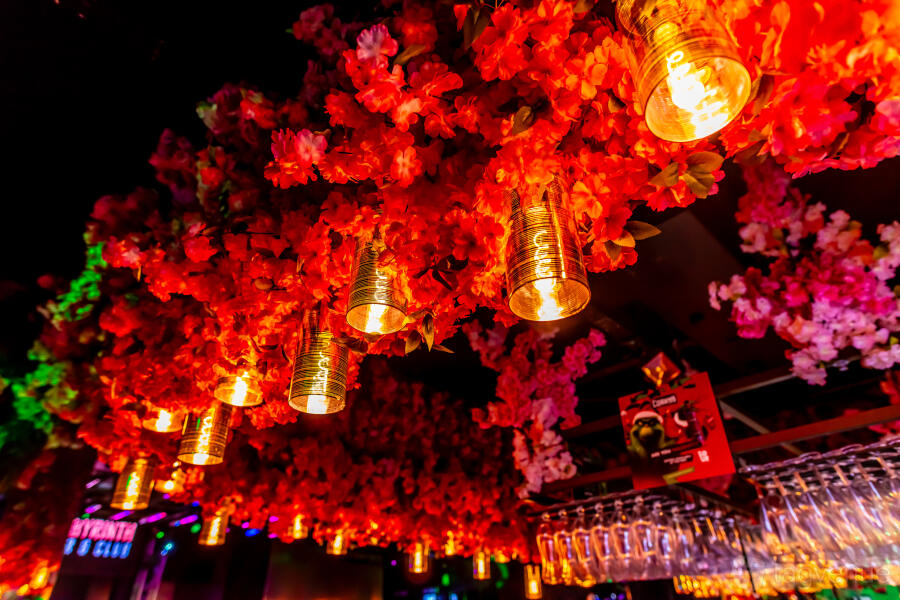 Botanic - Labyrinth Barnstaple - Event Venue Hire - Tagvenue.com