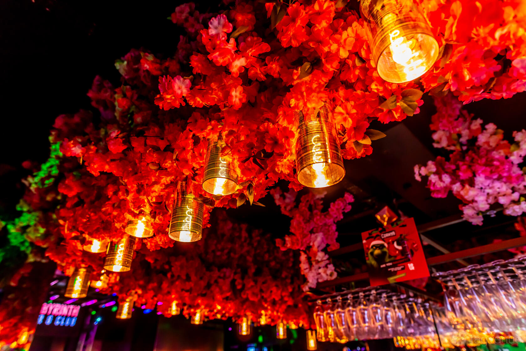 Botanic - Labyrinth Barnstaple - Event Venue Hire - Tagvenue.com