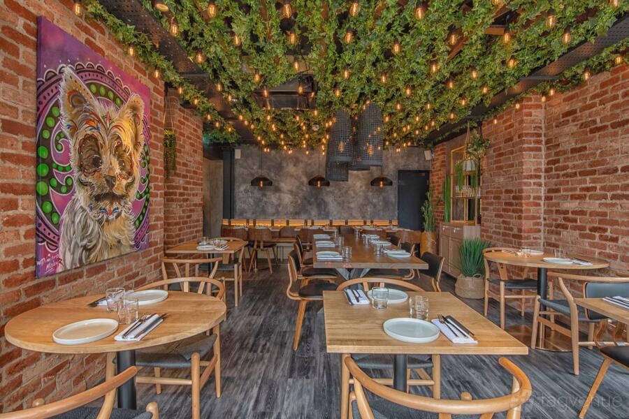 Los Mochis Notting Hill Venue Hire in London | Photos & Prices