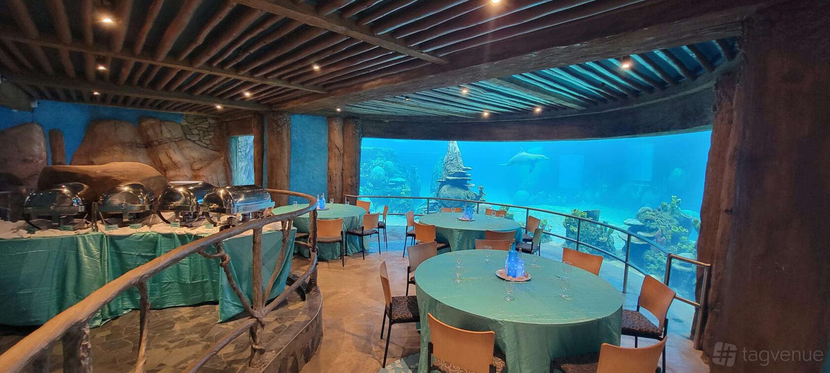 Dolphin Underwater Viewing - SeaWorld - Event Venue Rental - Tagvenue.com