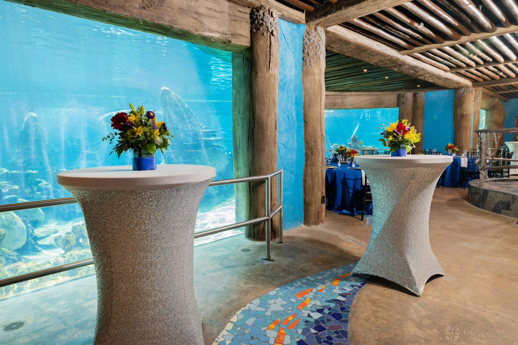 Dolphin Underwater Viewing - SeaWorld - Event Venue Rental - Tagvenue.com