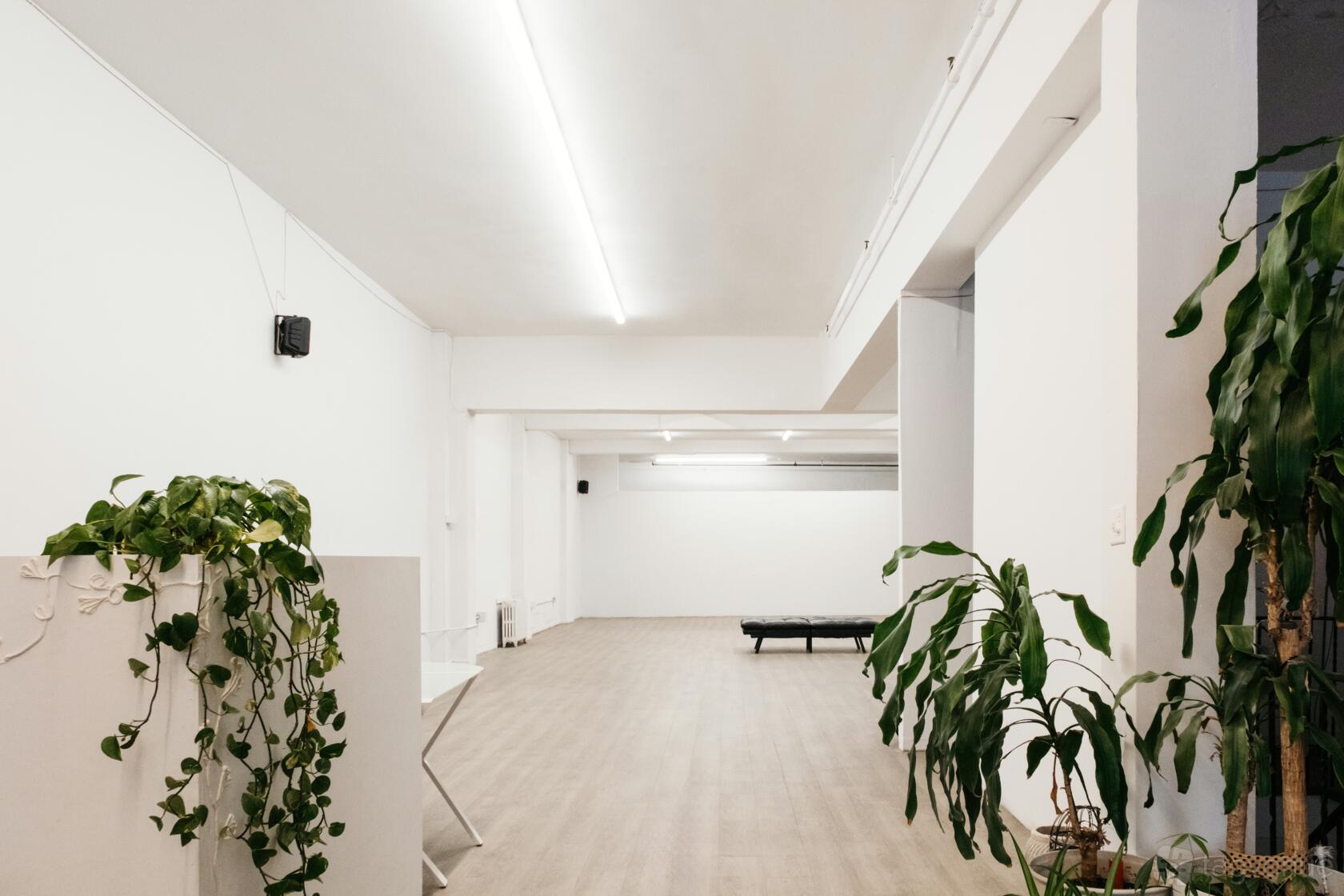MACEL STUDIOS