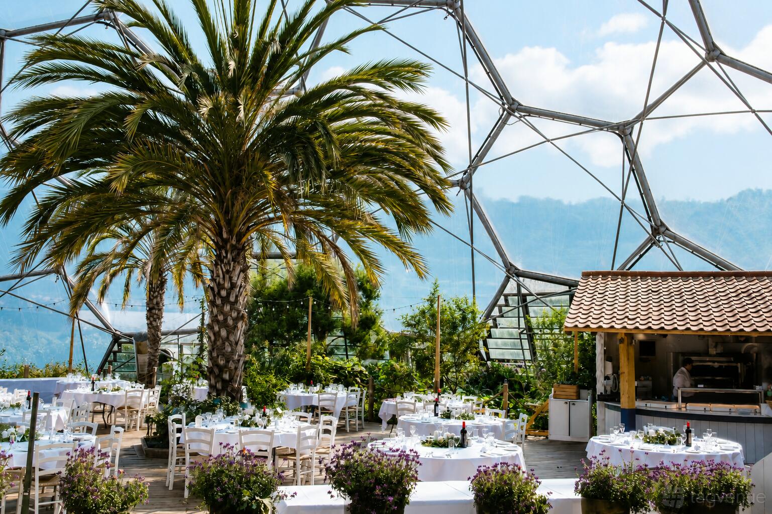 Mediterranean Biome Eden Project Event Venue Hire Tagvenue mediterranean-biome-eden-project-event-venue-hire-tagvenue