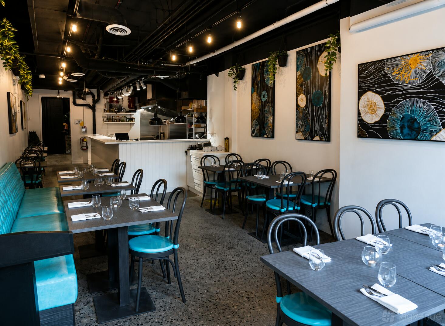 Plush Café & Bar