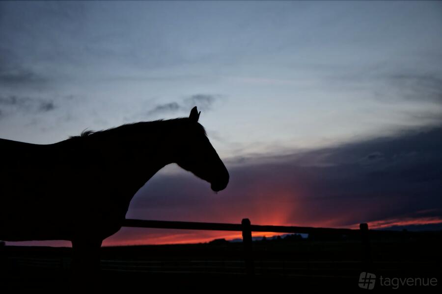 The Rlach The Lodge at Four Peaks Ranch - Four Peaks Ranch — Montana Ranch ...