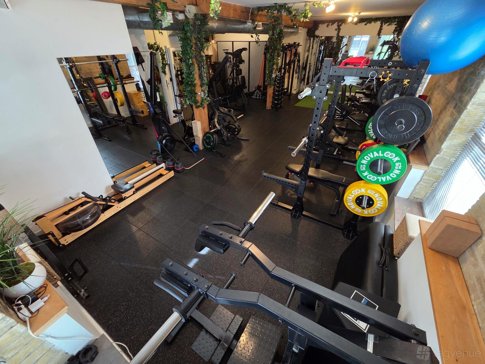 Fitness Studio & Gym at TO Kinesiology at TO Kinesiology