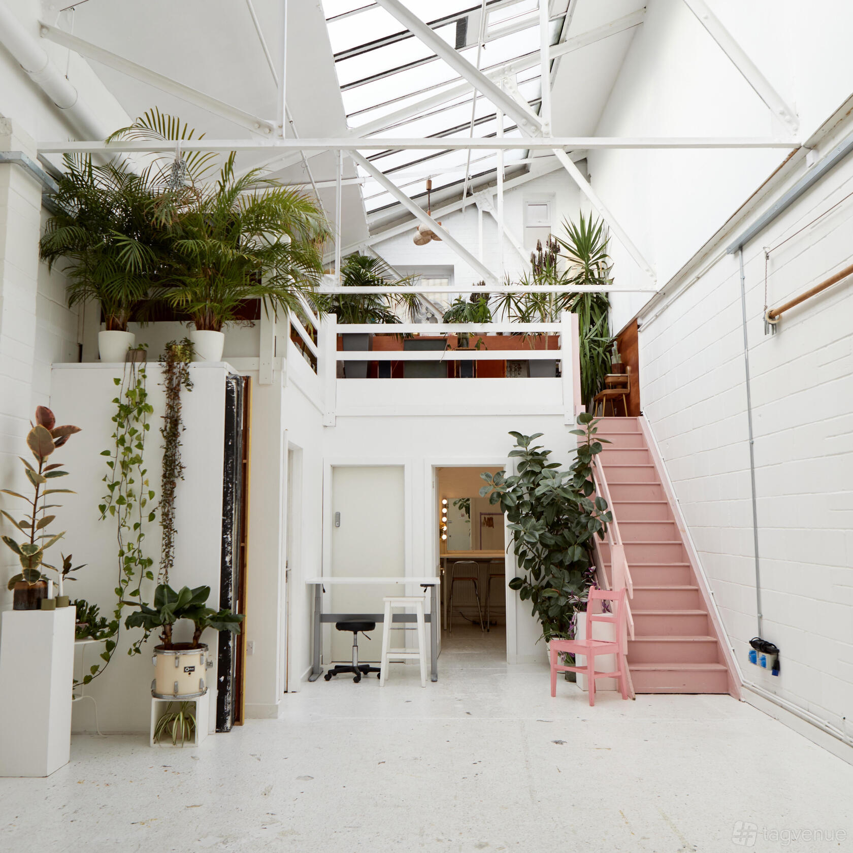 A photo studio with white walls, skylights, a pink staircase, and abundant indoor plants at Peanut Factory Studio.