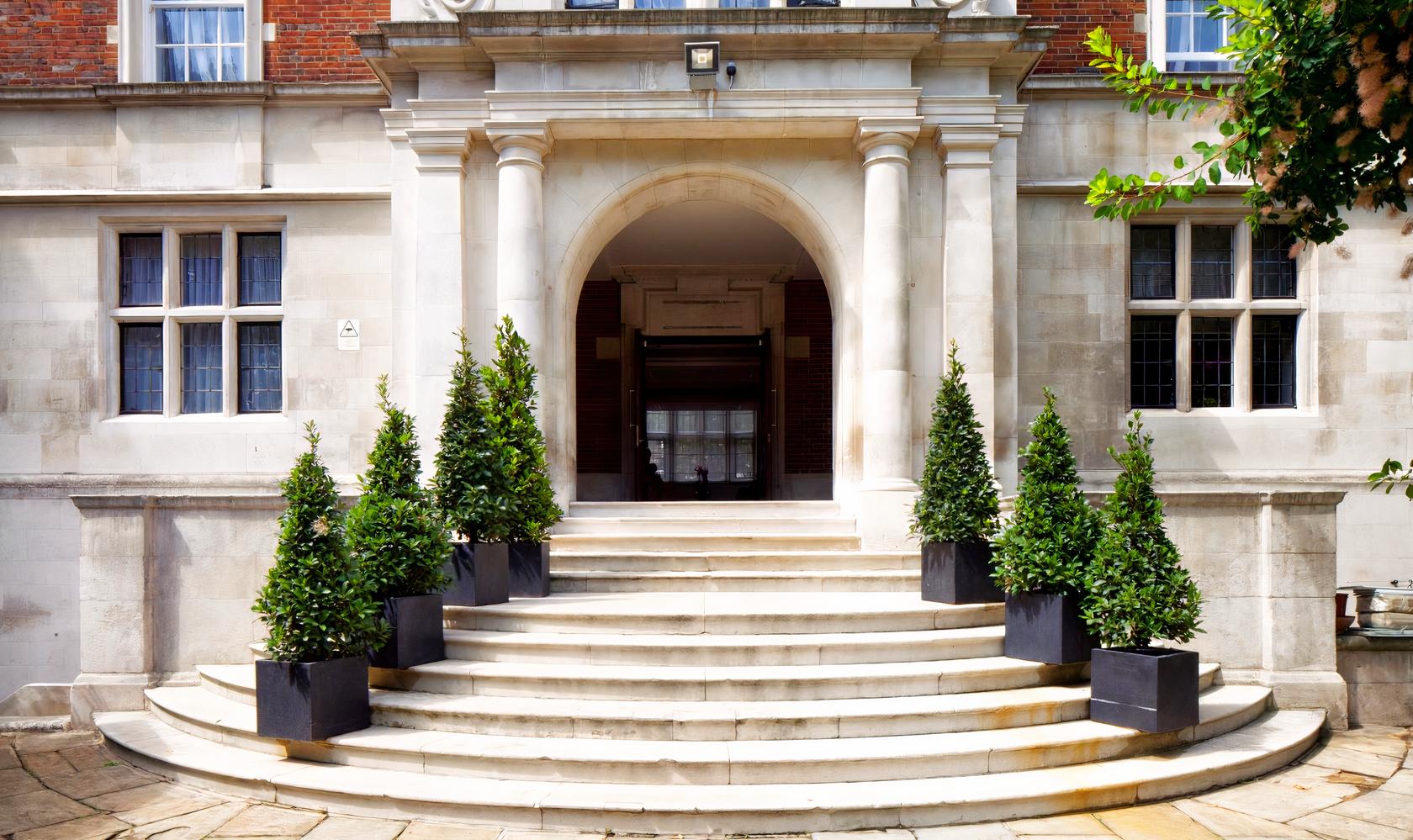 A hotel entrance with arched stone doorway, curved steps, and potted topiary trees at The Wellington by Blue Orchid.