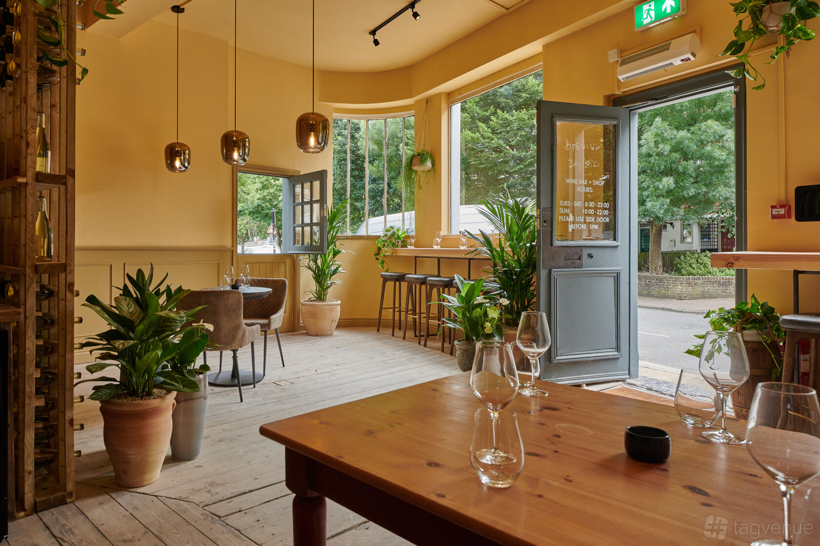 A bar interior with potted plants, large windows, wooden tables, and natural light at aspen & meursault.