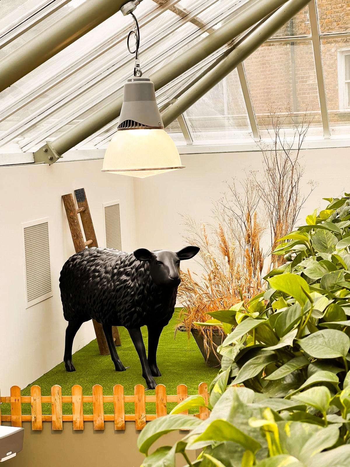 Easy Salmon Cakes With Greek Yogurt Horseradish Dip - Robust Recipes