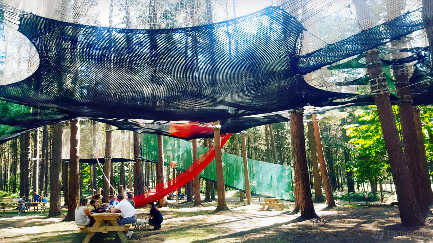 An outdoor event space with suspended netted walkways among tall pine trees and picnic tables at Go Ape Sherwood Pines.