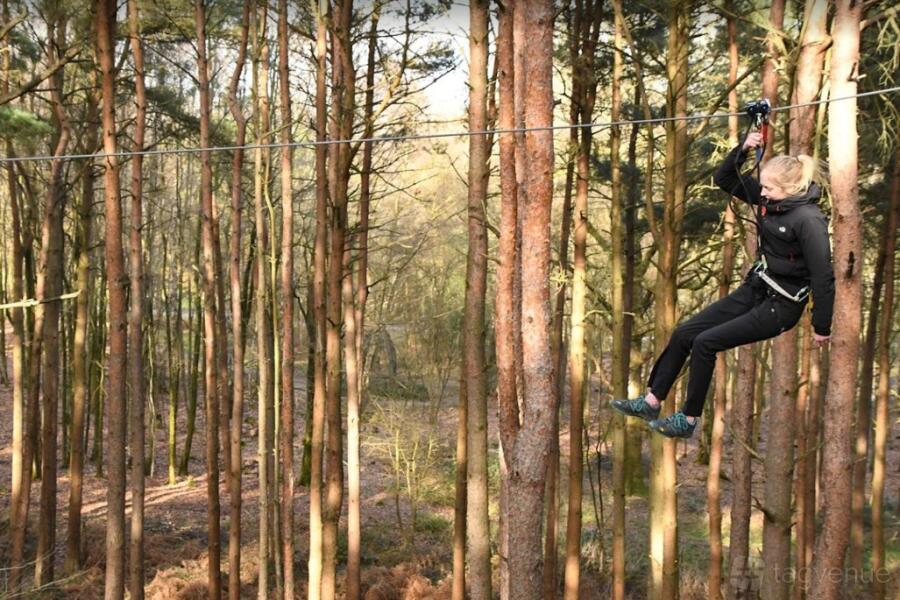 Treetop Challenge Treetop Challenge