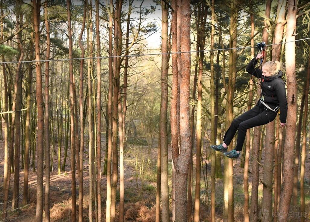 An outdoor adventure course with zip lines among tall pine trees at Go Ape Crawley
