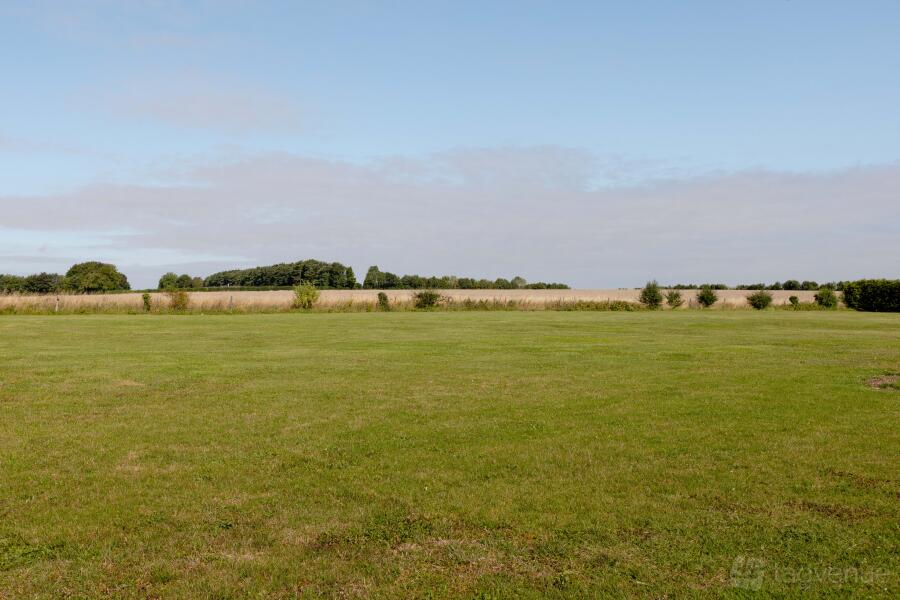 The Meadow at