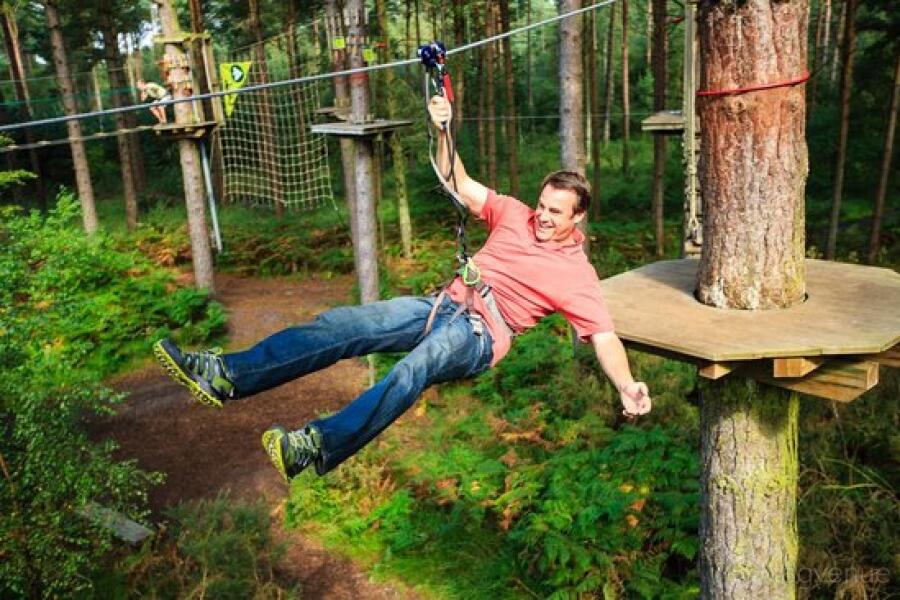 Treetop Challenge at