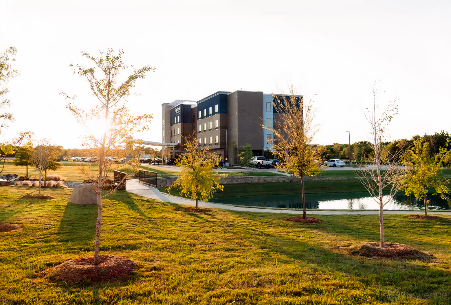 A versatile event space with a landscaped lawn, young trees, and a pond outside Apricus Venue.