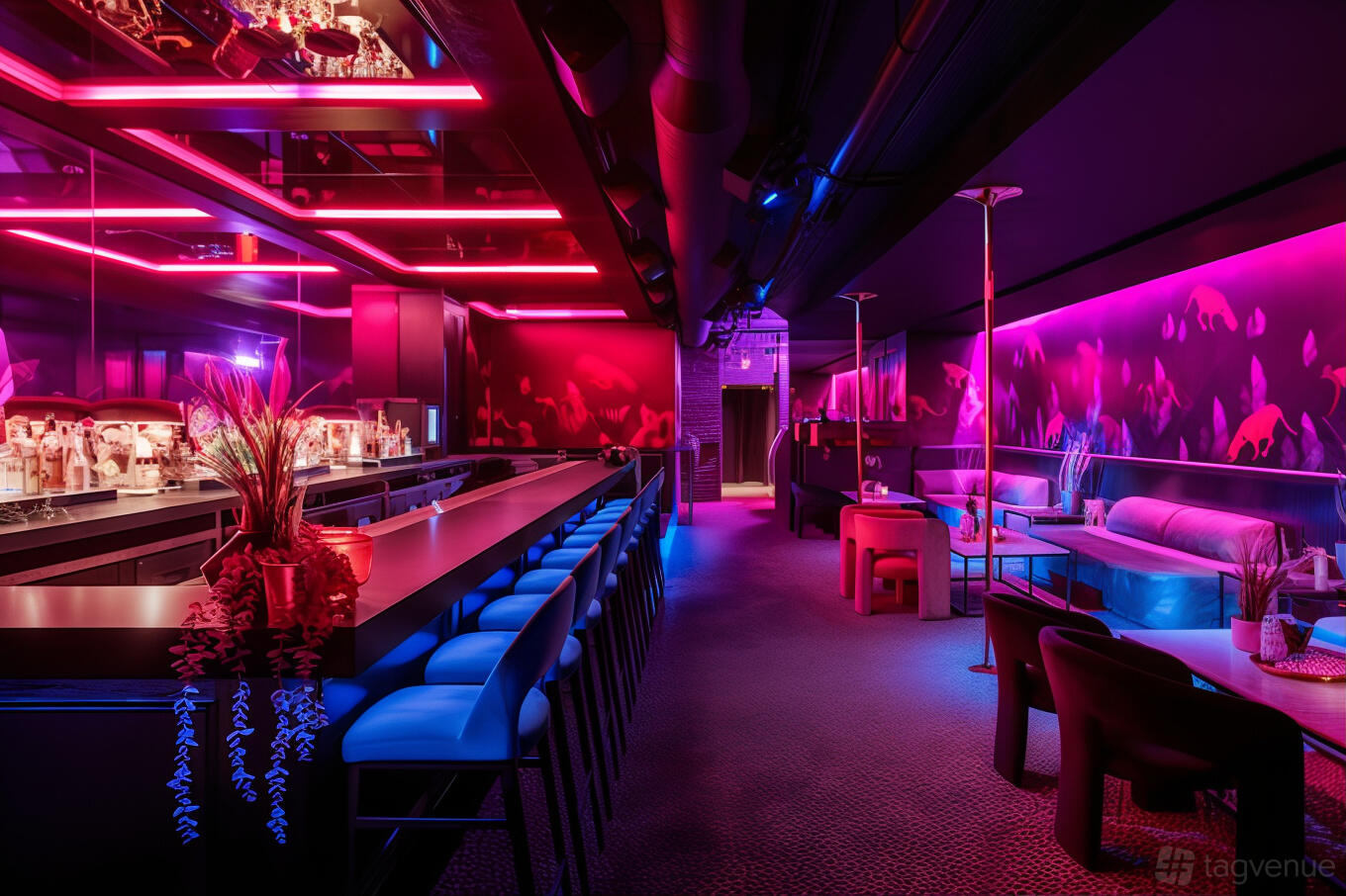 Cocktail Lounge at Baby's at Baby's