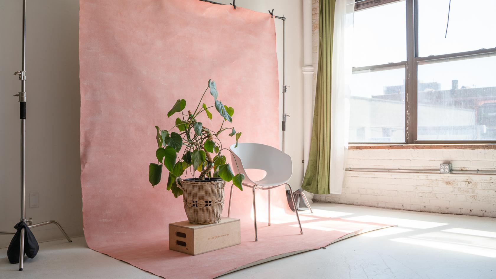Nature Rays Studio Natural Light Photo Studio - Umbra Studio - Event Venue Rental ...