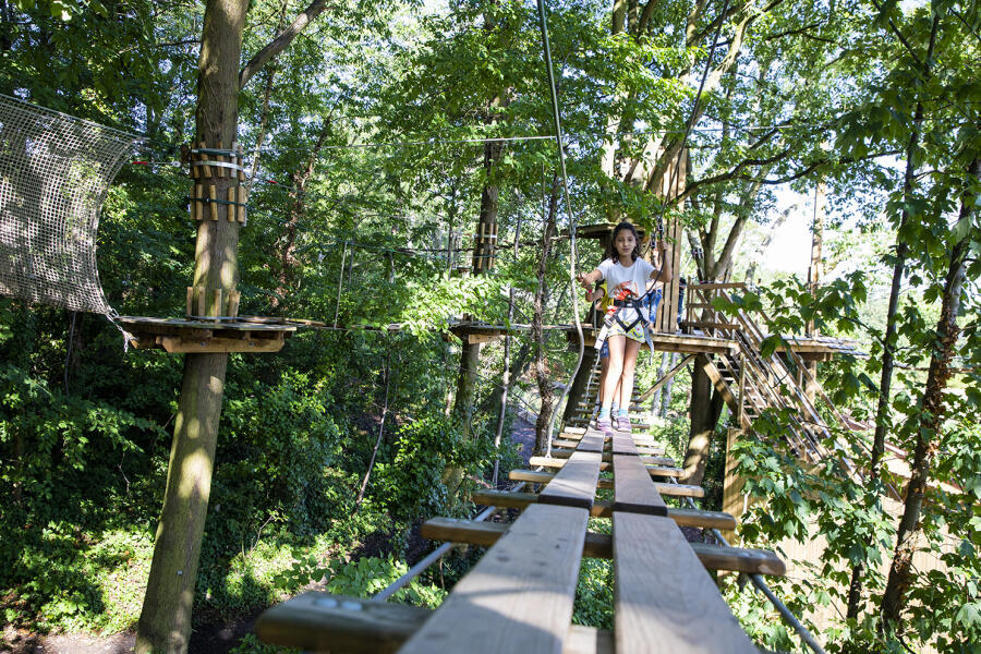 Treetop Adventure Treetop Adventure