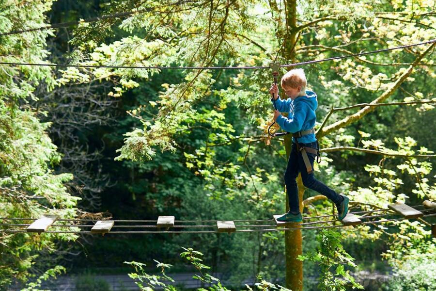 Treetop Adventure at Go Ape Sherwood Pines