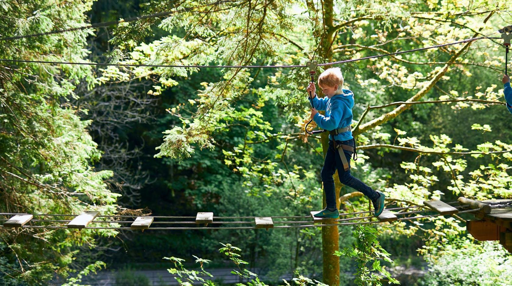 An outdoor adventure space with a rope bridge surrounded by tall pine trees at Go Ape Sherwood Pines.