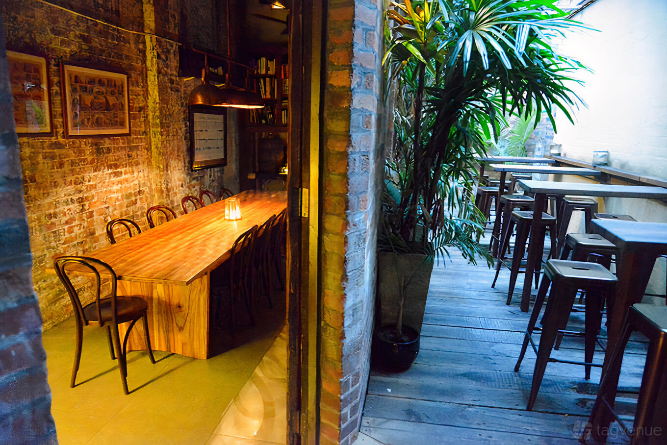 An outdoor bar area with tall wooden tables, stools, leafy plants, and brick walls at Proud Henry - Wine Bar and Ginoteca.