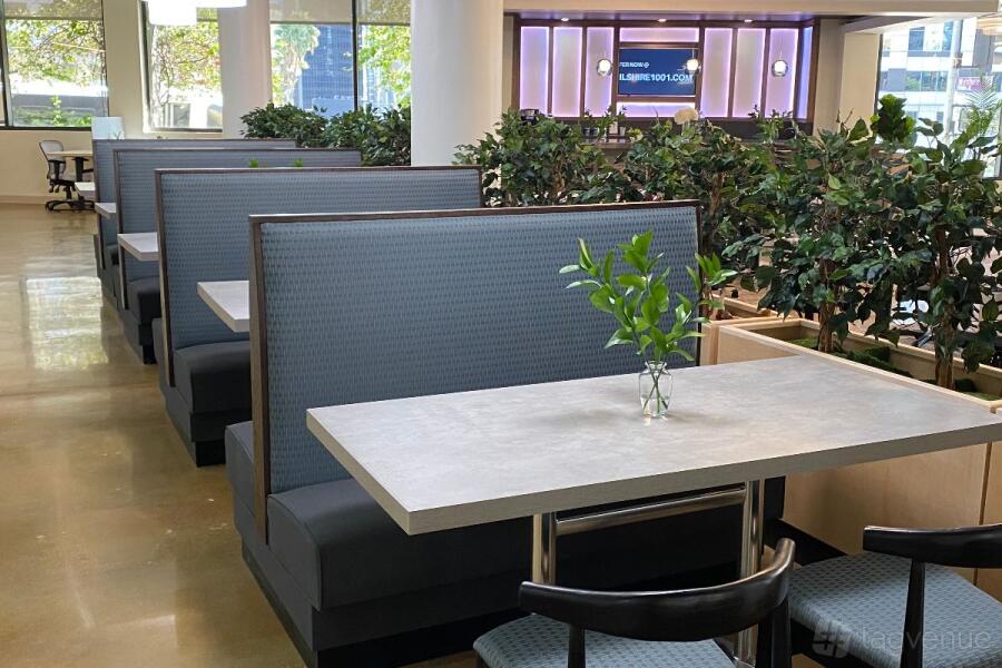 Lounge (Open Area) Lounge (Open Area)