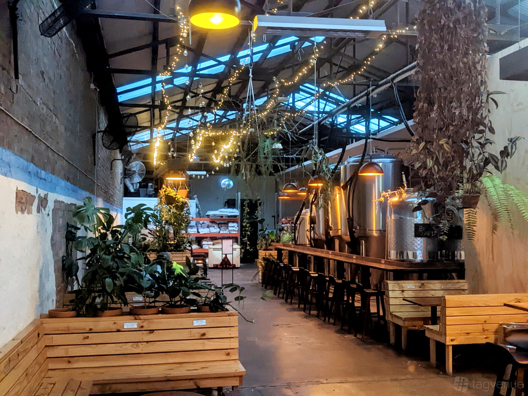 A brewery with large fermenting tanks, skylights, hanging string lights, and wooden bench seating at Inner North Brewing Company.