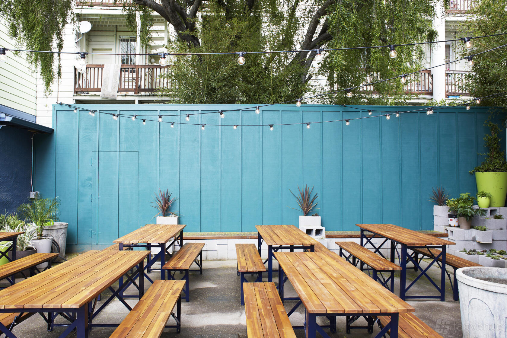 A terrace with wooden picnic tables, string lights, and potted plants against a teal fence at ANINA.