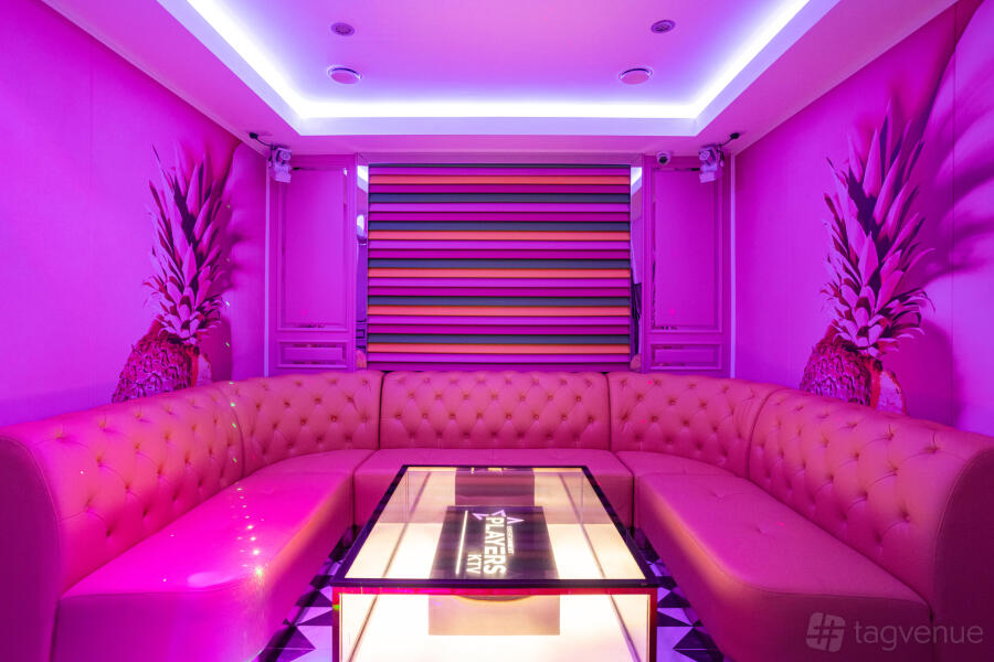 Karaoke/Party Room Deluxe 306 at